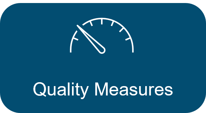 Quality Measures